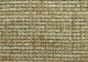 Coco - Mustard